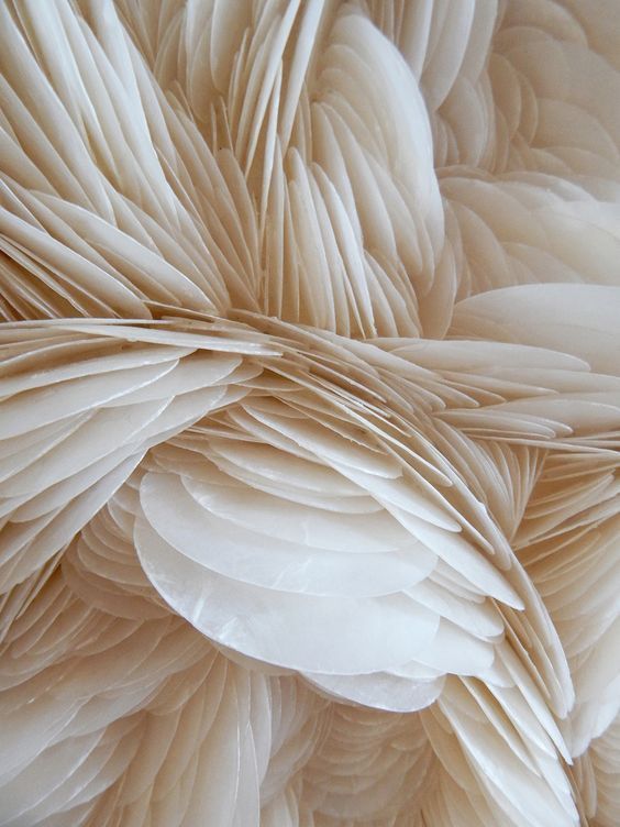 a white and pink desert rose. They show how this store uses non harmful, environmentally friendly products. 
