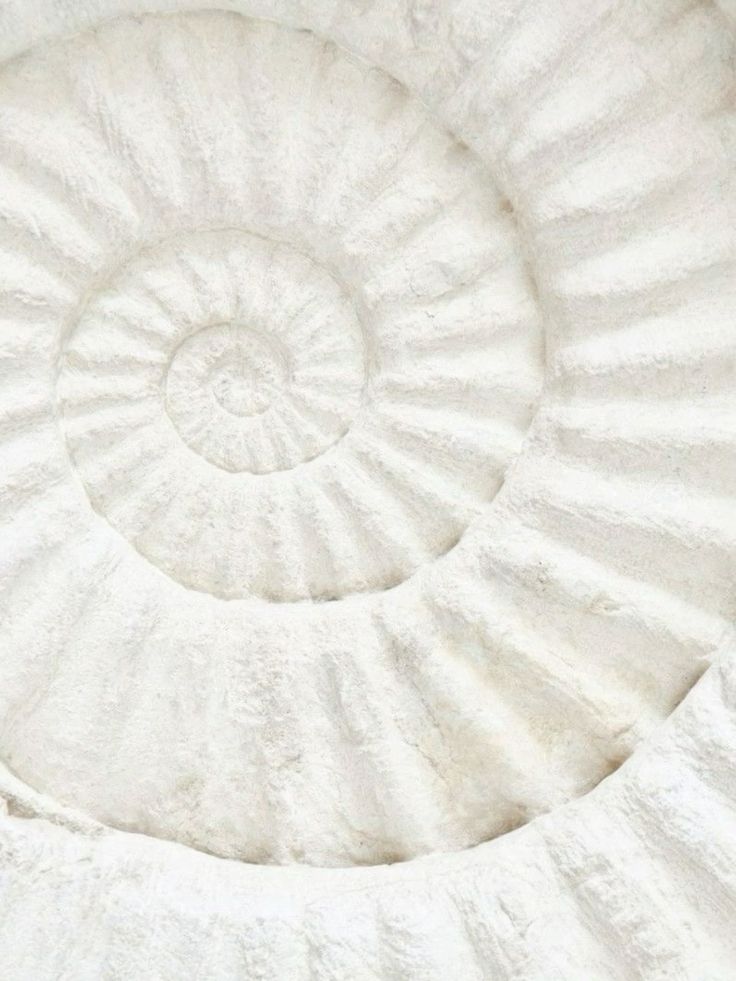 a white fossilised white sea shell. This shell shows the cycle and courage to pressure creativity which is a continues goal for the owner and for her customers. 